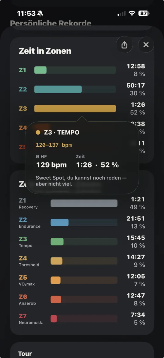 Angetippte Zone mit Erklärung Z3 Tempo